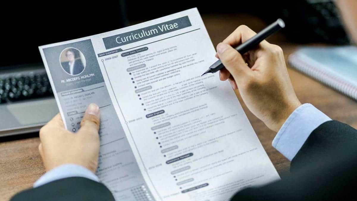 curriculo perfito
