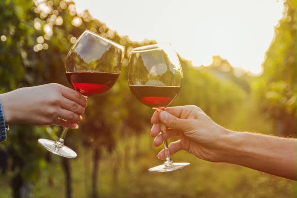 Duas taças de vinho tinto em brinde em um vinhedo ao pôr do sol